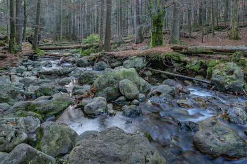Gemeinde Bodenmais Landkreis Regen Rieslochfälle (Dirschl Johann) Deutschland REG